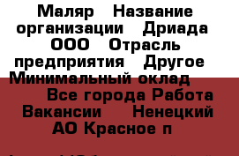 Маляр › Название организации ­ Дриада, ООО › Отрасль предприятия ­ Другое › Минимальный оклад ­ 18 000 - Все города Работа » Вакансии   . Ненецкий АО,Красное п.